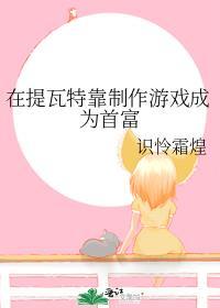 提瓦特游历指南