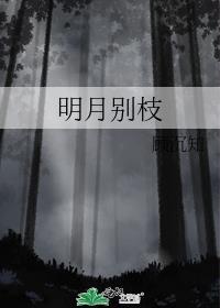 明月别枝晋江