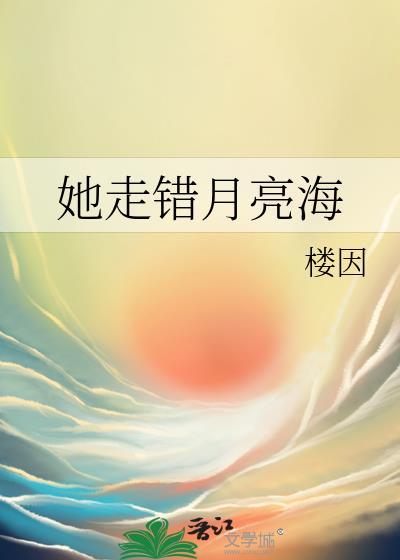 她走错月亮海免费阅读