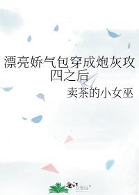 漂亮娇气包穿成炮灰攻四之后卖茶的小女巫免费阅读番外