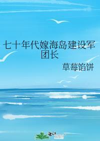 七十年代嫁海岛建设军团长在线阅读