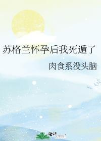 苏格兰怀孕后我死遁了免费