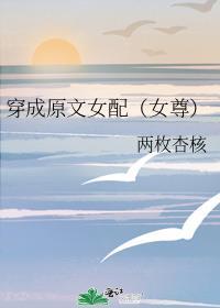 穿成原文女配(女尊)