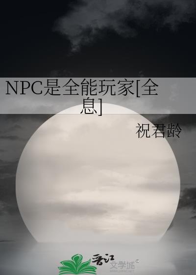 npc全写