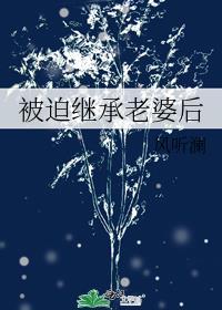 被迫继承老婆后gl完结了吗免费阅读