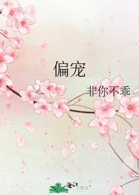 偏宠予你