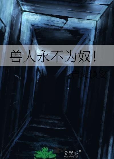 兽人永不为奴 启夫维安番外