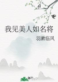我见美人如名将by羽漱临风讲的是什么