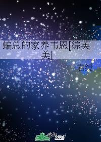 综英美韦恩家的小蝙蝠