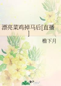 漂亮的菜单图片