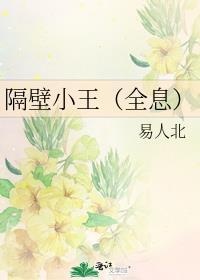 隔壁小王全息作者易人北
