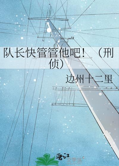 队长是干什么的