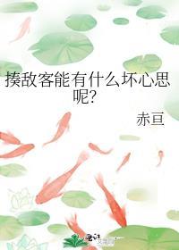 揍敌客百科
