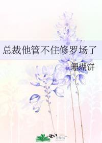 总裁他总是不开森晋江