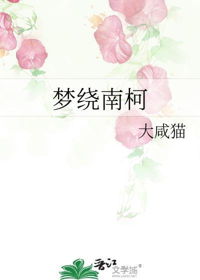 梦南柯
