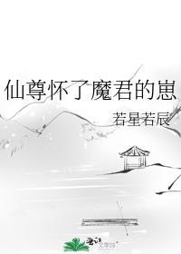 仙尊怀了魔君的崽by若星若辰