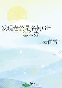 发现老公是名柯Gin怎么办笔趣