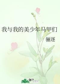 我与我的美少年马甲们 txt