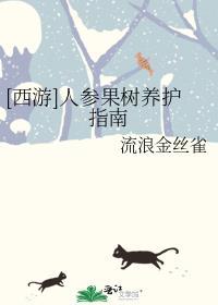 传说那一位传说txt