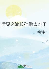 清穿之嫡长孙他太难了 袂浅