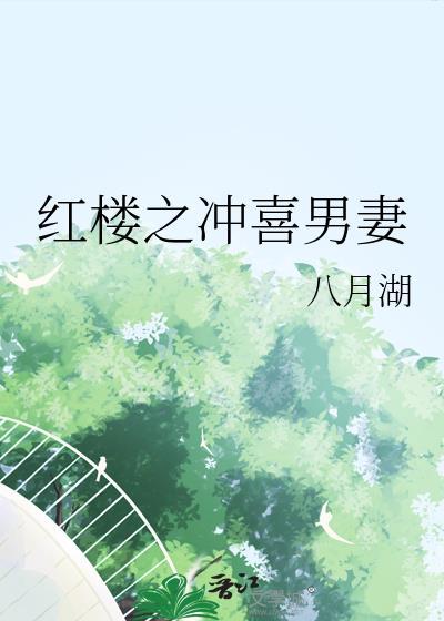 红楼之综