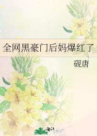 全网黑豪门后妈爆红了免费阅砚唐