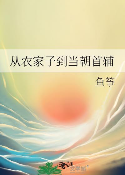 从农家子到当朝首辅免费阅读晋江