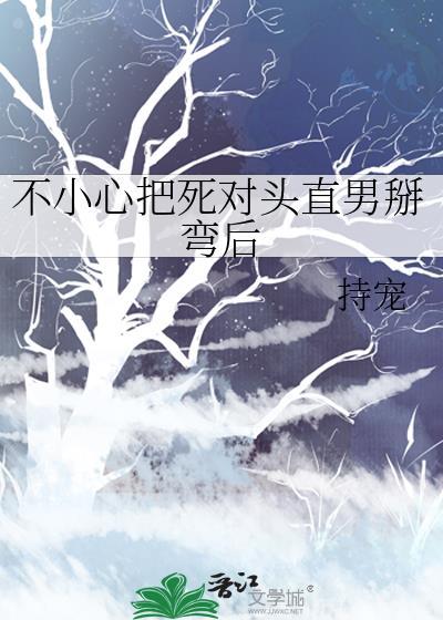 不小心把男主掰弯了