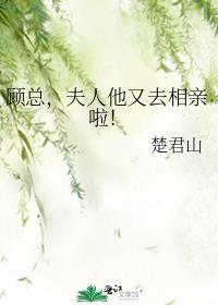 夫人又去兼职了