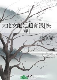 我是平妻也是被废的皇后漫画
