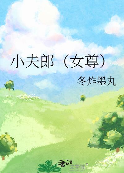 小夫郎(女尊) 冬炸