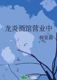 龙炎案是怎么回事
