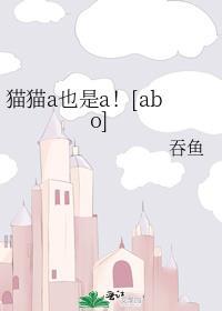 猫猫a也是a讲的什么