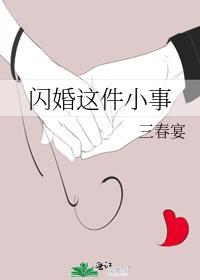 闪婚简介