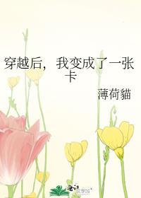 穿越后我变成了一张卡TXT