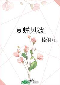 夏蝉风波免费阅读
