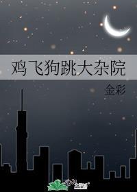 鸡飞狗跳大杂院晋江