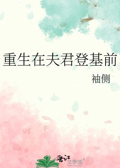 重生在夫君登基前 袖侧讲的什么