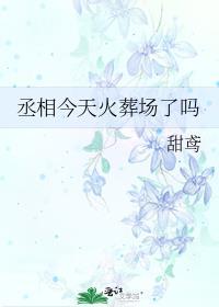 丞相今天火葬场了吗于陈