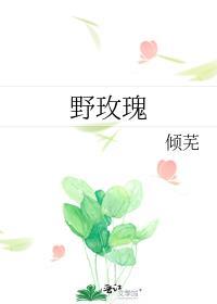 野玫瑰果的功效与作用