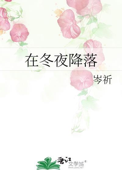 在冬夜降落百度