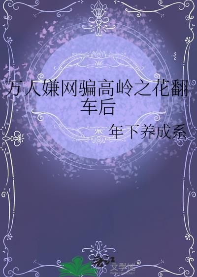 万人迷文里的高岭之花