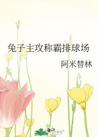 兔子主攻称霸排球场最新更新内容