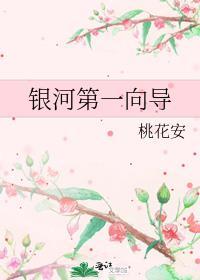 银河第一向导 (桃花安)