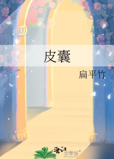 皮囊第二季