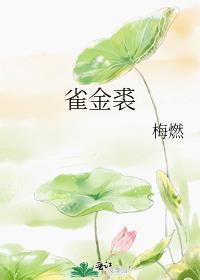 雀金裘免费阅读