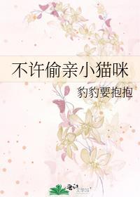 不许偷亲小猫咪完结了吗