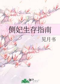 侧妃的咸鱼生活全文
