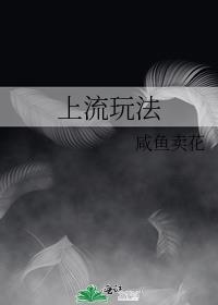 上流玩法by咸鱼卖花免费阅读