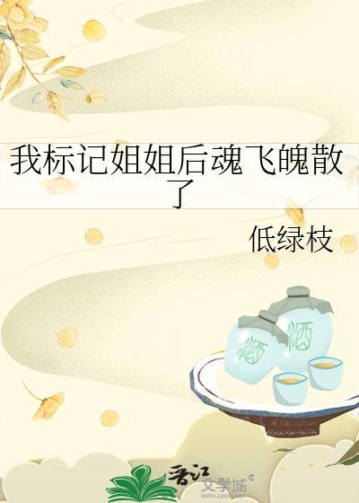 我标记姐姐后魂飞魄散了百度